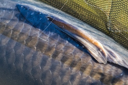 PB Products Ghost Dragonfly 400m