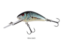 Real Dace