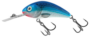 Silver Blue Shad