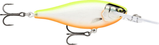 GDCO, Gilded Chartreuse Orange Belly