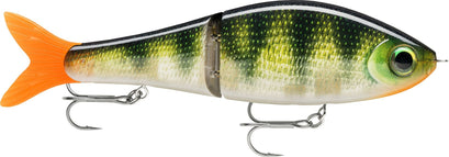 PEL, Live Perch