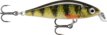 PEL, Live Perch
