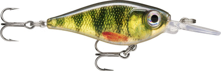 PEL, Live Perch