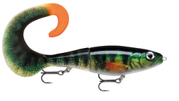 PEL, Live Perch