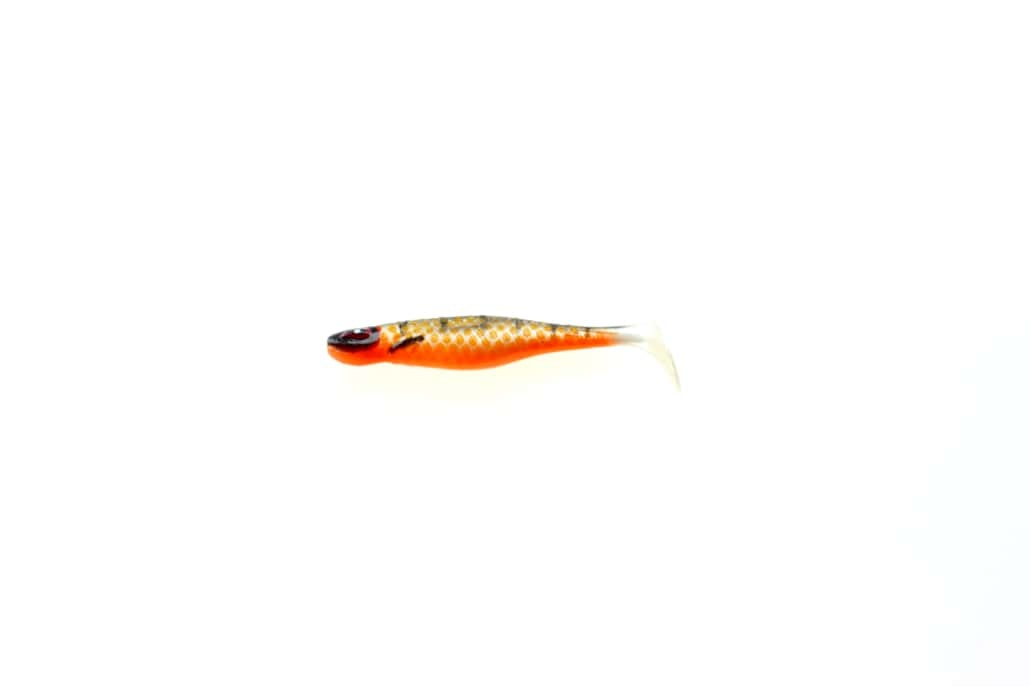 Golden Roach