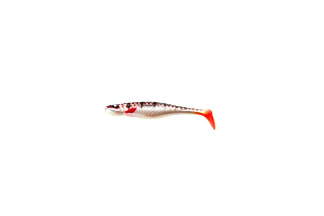Brown Perch