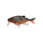 Fancy Roach