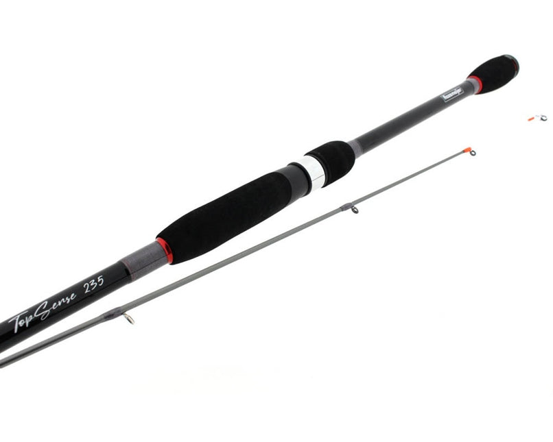 Rozemeijer TopSense 235 10-35g 2pcs