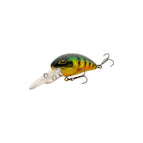 Chrome Perch #10 BKK