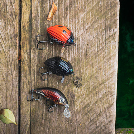 Salmo Chub Pack