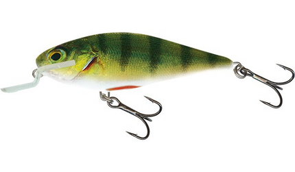 Salmo Executor Shallow Runner Floating 12cm 33gr