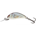Real Dace - Sinking 2.5cm
