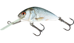 Real Dace - Floating 4cm