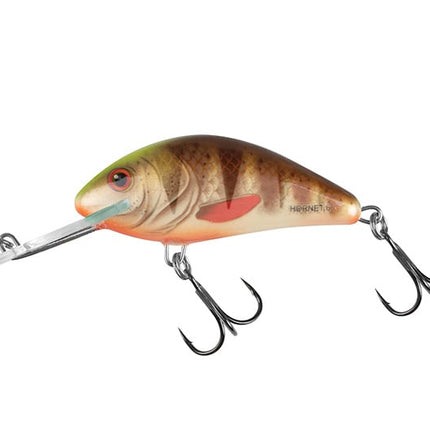 Salmo Hornet 6cm 10gr Floating
