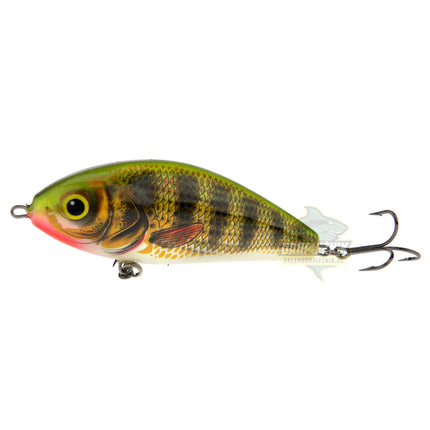 Salmo Limited Edition Fatso 14 Colours