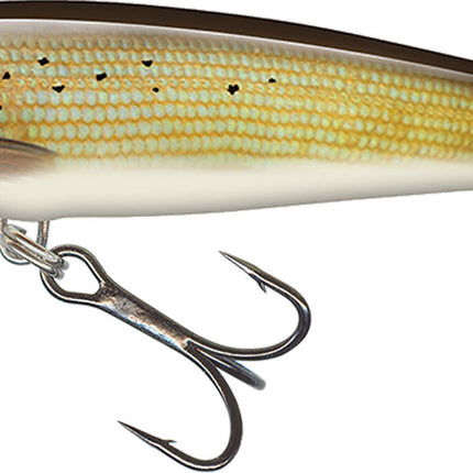 Salmo Minnow 5cm 3gr Floating