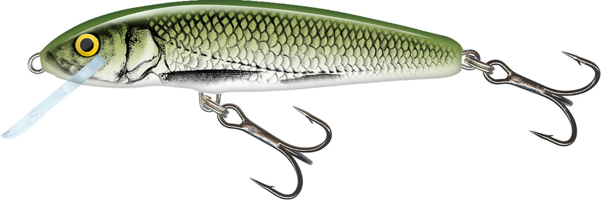 Salmo Minnow 5cm 3gr Floating