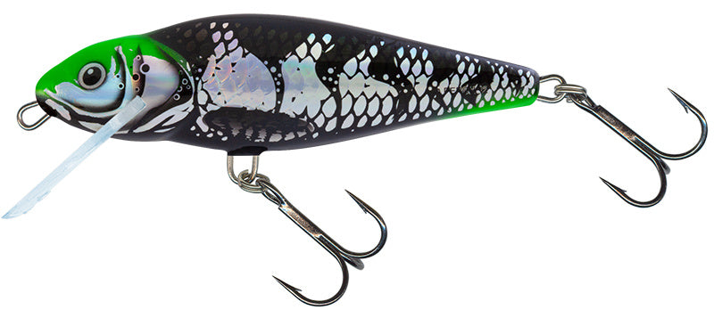 Perch 12 Floating Holo Dark Green Head