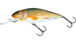 8cm Real Roach