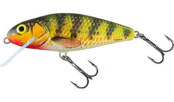 8cm DR Holo Perch
