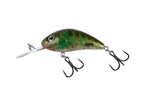 Clear Green Gill