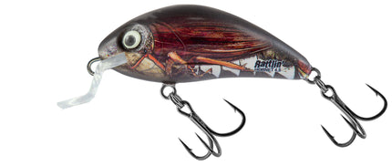 Salmo Rattlin Hornet 4,5cm 6gr Floating