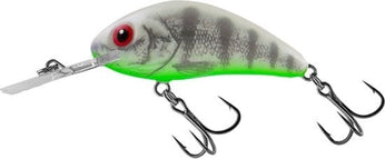Ghost Perch