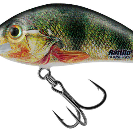 Salmo Rattlin Hornet Shallow 4,5cm 6gr Floating