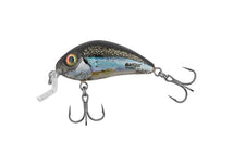 Clear Holo Smelt