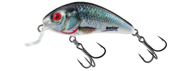 Holographic Real Dace