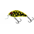 Bright Beetle