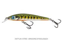 Breeding Stickleback