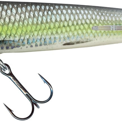 Salmo Sweeper 10cm 19gr Sinking