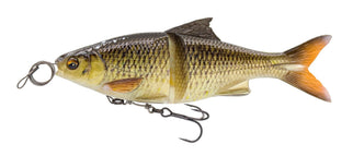 Horny Bream