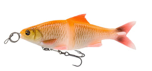 Albino Roach