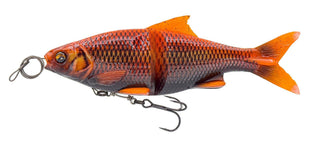 Blck Orng Koi