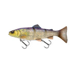 CL Blue Trout