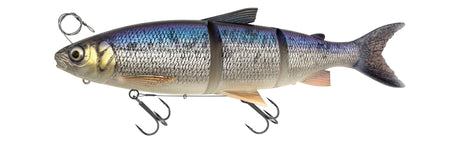 Weißfisch