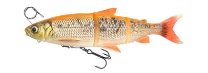Gold Albino