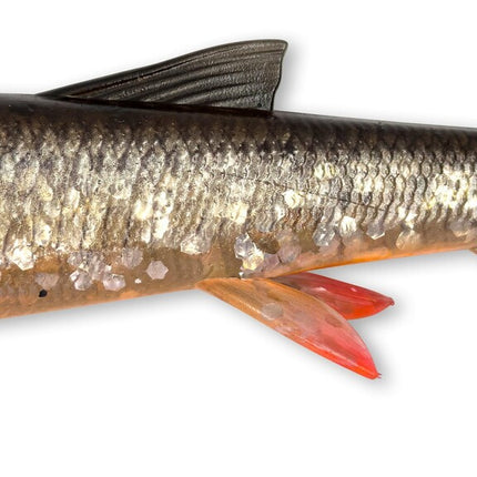 savage gear whitefish shad Savage Gear 3D Whitefish Shad 17.5cm 42g 2PCS – FlohPro.com