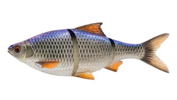 Blue Roach