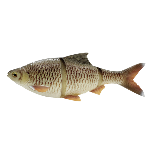 Savage Gear 4D LT Roach 25CM 206G SS