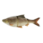 4D LT Roach 32CM 420G SS BREAM