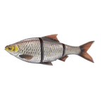 4D LT Roach 32CM 420G SS SILVER BREAM GH