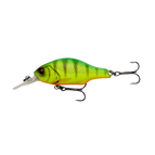 Fire Tiger