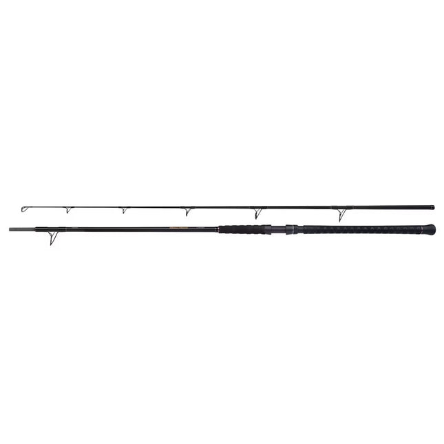 Shimano Hengel Beastmaster Catfish Static