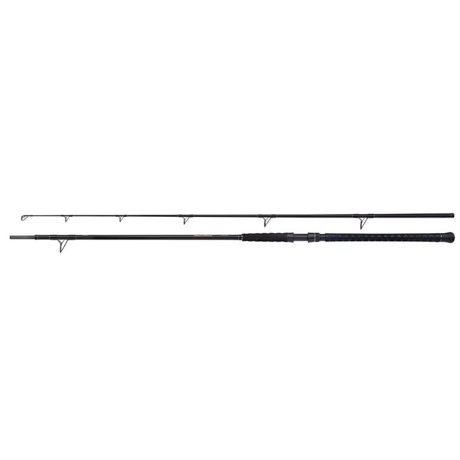 Shimano Hengel Beastmaster Catfish Static