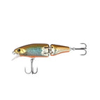 Tn Shad