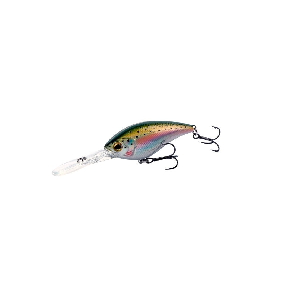 Rainbow Trout