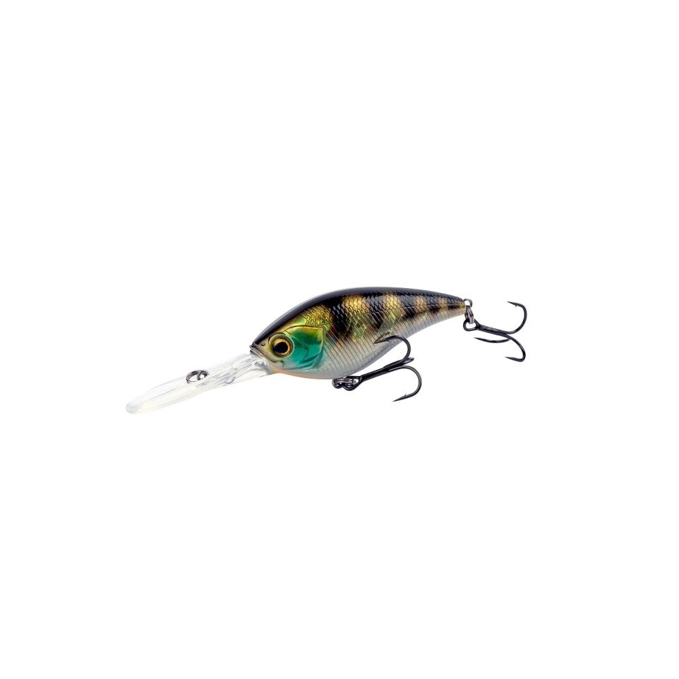 Perch